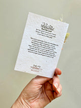 Wildflower Seed Card + Mini Bouquet
