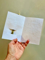 Wildflower Seed Card + Mini Bouquet