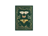 Flutter Everyday Greeting Card with Butterflies and Moths