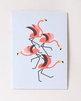 Go Wild Neon Flamingoes Pop-Up Everyday Greeting Card